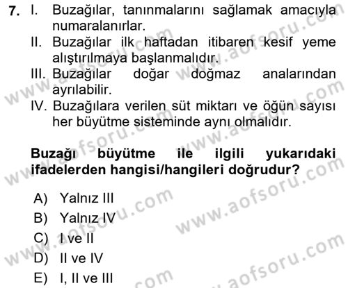 Hayvan Yetiştirme Dersi 2024 - 2025 Yılı Yaz Okulu Sınav Soruları 7. Soru