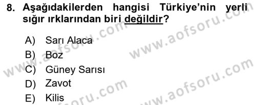 Hayvan Yetiştirme Dersi 2024 - 2025 Yılı Yaz Okulu Sınav Soruları 8. Soru