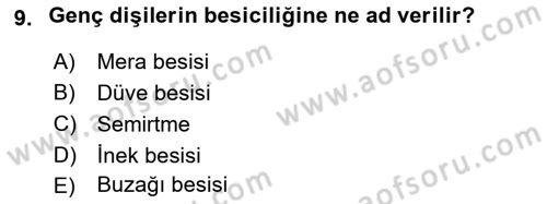 Hayvan Yetiştirme Dersi 2024 - 2025 Yılı Yaz Okulu Sınav Soruları 9. Soru