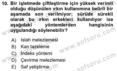 Hayvan Yetiştirme Dersi 2025 - 2026 Yılı (Vize) Ara Sınav Soruları 10. Soru