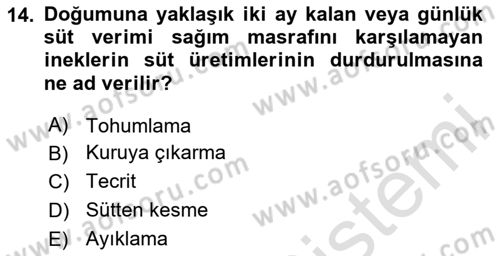 Hayvan Yetiştirme Dersi 2025 - 2026 Yılı (Vize) Ara Sınav Soruları 14. Soru