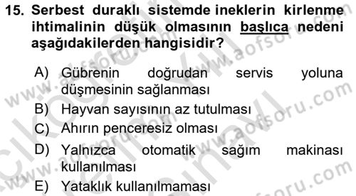 Hayvan Yetiştirme Dersi 2025 - 2026 Yılı (Vize) Ara Sınav Soruları 15. Soru
