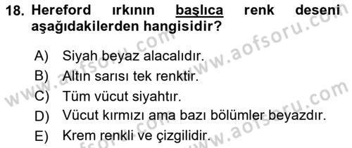 Hayvan Yetiştirme Dersi 2025 - 2026 Yılı (Vize) Ara Sınav Soruları 18. Soru