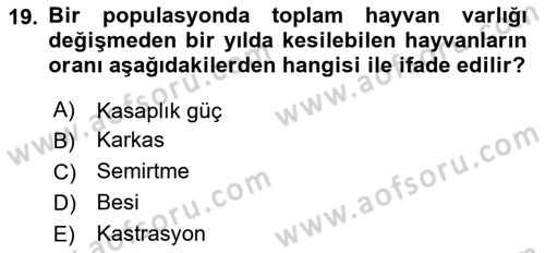 Hayvan Yetiştirme Dersi 2025 - 2026 Yılı (Vize) Ara Sınav Soruları 19. Soru