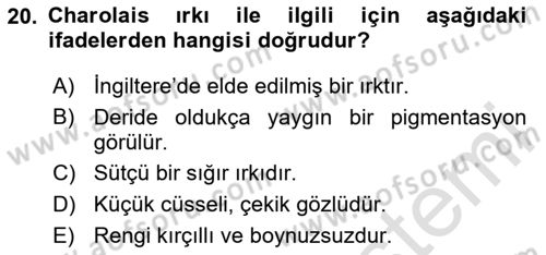 Hayvan Yetiştirme Dersi 2025 - 2026 Yılı (Vize) Ara Sınav Soruları 20. Soru