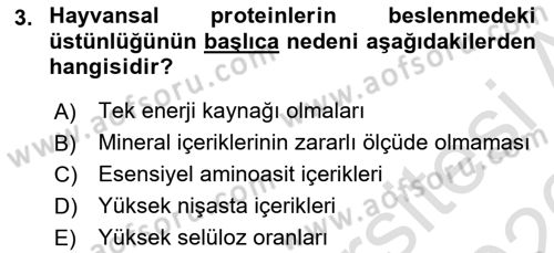 Hayvan Yetiştirme Dersi 2025 - 2026 Yılı (Vize) Ara Sınav Soruları 3. Soru