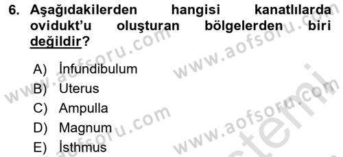 Hayvan Yetiştirme Dersi 2025 - 2026 Yılı (Vize) Ara Sınav Soruları 6. Soru