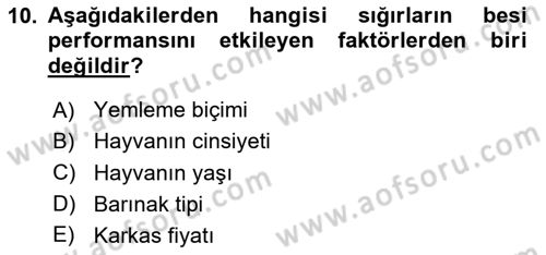 Hayvan Yetiştirme Dersi 2025 - 2026 Yılı (Final) Dönem Sonu Sınav Soruları 10. Soru