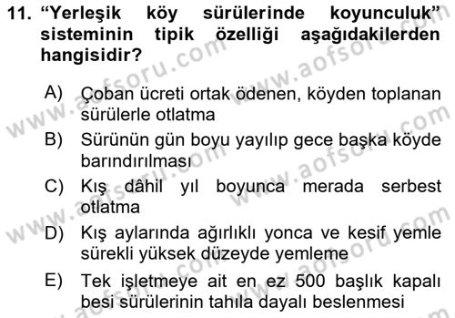 Hayvan Yetiştirme Dersi 2025 - 2026 Yılı (Final) Dönem Sonu Sınav Soruları 11. Soru