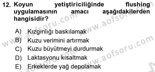Hayvan Yetiştirme Dersi 2025 - 2026 Yılı (Final) Dönem Sonu Sınav Soruları 12. Soru