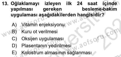 Hayvan Yetiştirme Dersi 2025 - 2026 Yılı (Final) Dönem Sonu Sınav Soruları 13. Soru