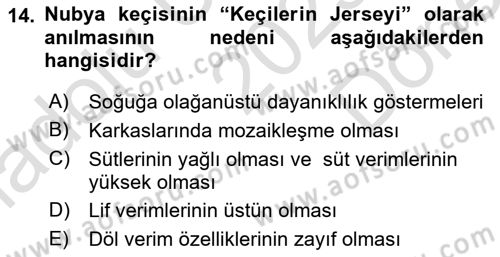 Hayvan Yetiştirme Dersi 2025 - 2026 Yılı (Final) Dönem Sonu Sınav Soruları 14. Soru