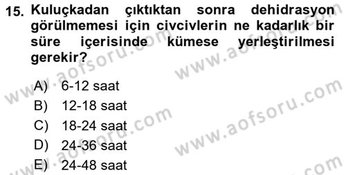 Hayvan Yetiştirme Dersi 2025 - 2026 Yılı (Final) Dönem Sonu Sınav Soruları 15. Soru