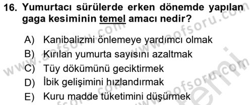 Hayvan Yetiştirme Dersi 2025 - 2026 Yılı (Final) Dönem Sonu Sınav Soruları 16. Soru