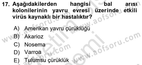 Hayvan Yetiştirme Dersi 2025 - 2026 Yılı (Final) Dönem Sonu Sınav Soruları 17. Soru