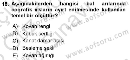 Hayvan Yetiştirme Dersi 2025 - 2026 Yılı (Final) Dönem Sonu Sınav Soruları 18. Soru