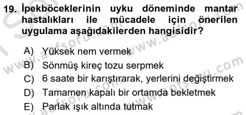 Hayvan Yetiştirme Dersi 2025 - 2026 Yılı (Final) Dönem Sonu Sınav Soruları 19. Soru
