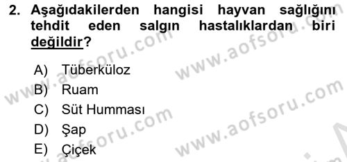 Hayvan Yetiştirme Dersi 2025 - 2026 Yılı (Final) Dönem Sonu Sınav Soruları 2. Soru