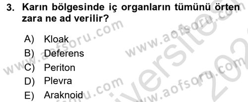 Hayvan Yetiştirme Dersi 2025 - 2026 Yılı (Final) Dönem Sonu Sınav Soruları 3. Soru