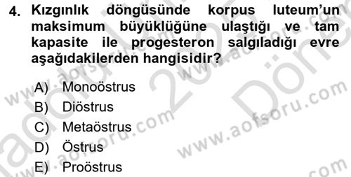 Hayvan Yetiştirme Dersi 2025 - 2026 Yılı (Final) Dönem Sonu Sınav Soruları 4. Soru