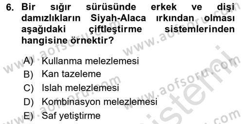 Hayvan Yetiştirme Dersi 2025 - 2026 Yılı (Final) Dönem Sonu Sınav Soruları 6. Soru