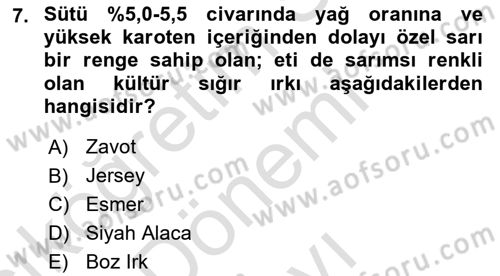 Hayvan Yetiştirme Dersi 2025 - 2026 Yılı (Final) Dönem Sonu Sınav Soruları 7. Soru