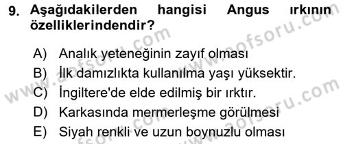 Hayvan Yetiştirme Dersi 2025 - 2026 Yılı (Final) Dönem Sonu Sınav Soruları 9. Soru