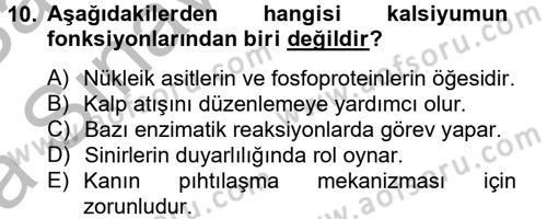 Hayvan Besleme Dersi 2012 - 2013 Yılı (Vize) Ara Sınav Soruları 10. Soru