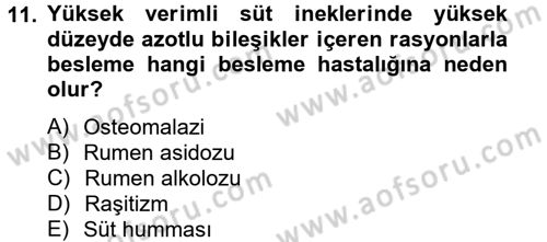Hayvan Besleme Dersi 2012 - 2013 Yılı (Vize) Ara Sınav Soruları 11. Soru