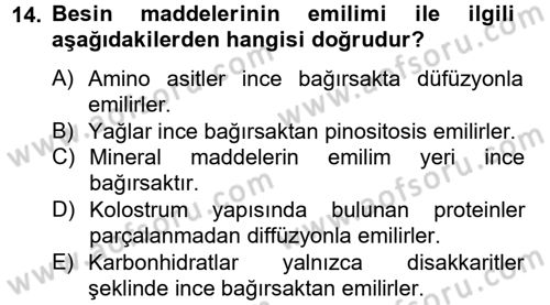 Hayvan Besleme Dersi 2012 - 2013 Yılı (Vize) Ara Sınav Soruları 14. Soru