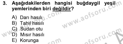 Hayvan Besleme Dersi 2012 - 2013 Yılı (Vize) Ara Sınav Soruları 3. Soru