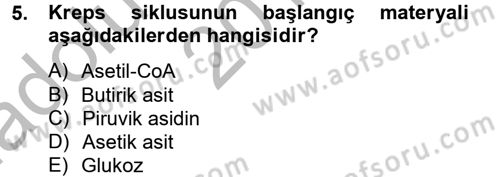 Hayvan Besleme Dersi 2012 - 2013 Yılı (Vize) Ara Sınav Soruları 5. Soru
