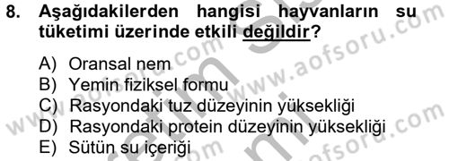 Hayvan Besleme Dersi 2012 - 2013 Yılı (Vize) Ara Sınav Soruları 8. Soru