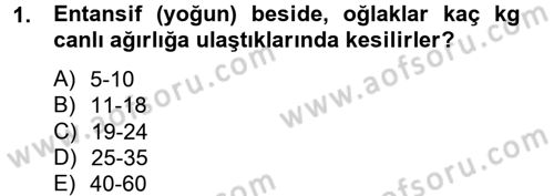 Hayvan Besleme Dersi 2012 - 2013 Yılı (Final) Dönem Sonu Sınav Soruları 1. Soru