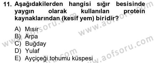 Hayvan Besleme Dersi 2012 - 2013 Yılı (Final) Dönem Sonu Sınav Soruları 11. Soru