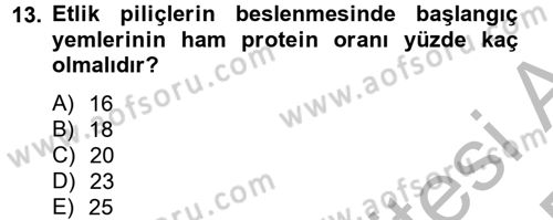 Hayvan Besleme Dersi 2012 - 2013 Yılı (Final) Dönem Sonu Sınav Soruları 13. Soru