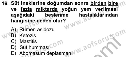 Hayvan Besleme Dersi 2012 - 2013 Yılı (Final) Dönem Sonu Sınav Soruları 16. Soru