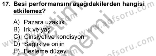 Hayvan Besleme Dersi 2012 - 2013 Yılı (Final) Dönem Sonu Sınav Soruları 17. Soru