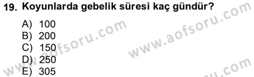 Hayvan Besleme Dersi 2012 - 2013 Yılı (Final) Dönem Sonu Sınav Soruları 19. Soru