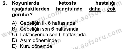 Hayvan Besleme Dersi 2012 - 2013 Yılı (Final) Dönem Sonu Sınav Soruları 2. Soru