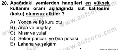 Hayvan Besleme Dersi 2012 - 2013 Yılı (Final) Dönem Sonu Sınav Soruları 20. Soru