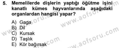 Hayvan Besleme Dersi 2012 - 2013 Yılı (Final) Dönem Sonu Sınav Soruları 5. Soru