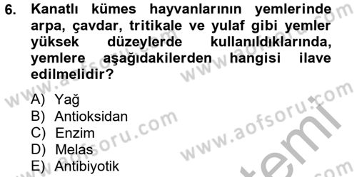Hayvan Besleme Dersi 2012 - 2013 Yılı (Final) Dönem Sonu Sınav Soruları 6. Soru
