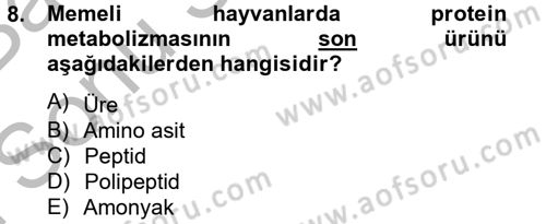 Hayvan Besleme Dersi 2012 - 2013 Yılı (Final) Dönem Sonu Sınav Soruları 8. Soru
