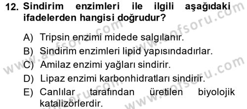 Hayvan Besleme Dersi 2013 - 2014 Yılı (Vize) Ara Sınav Soruları 12. Soru