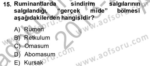 Hayvan Besleme Dersi 2013 - 2014 Yılı (Vize) Ara Sınav Soruları 15. Soru