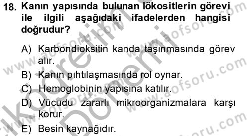 Hayvan Besleme Dersi 2013 - 2014 Yılı (Vize) Ara Sınav Soruları 18. Soru