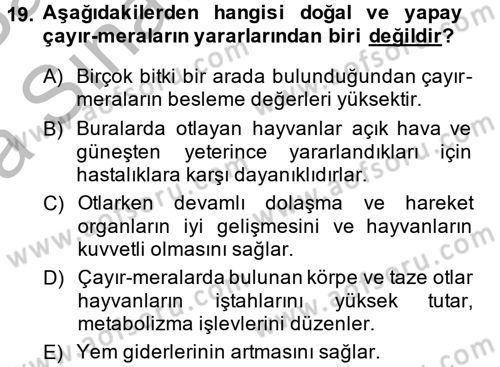 Hayvan Besleme Dersi 2013 - 2014 Yılı (Vize) Ara Sınav Soruları 19. Soru