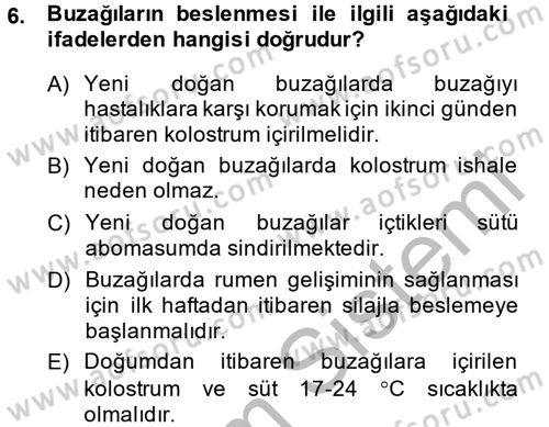 Hayvan Besleme Dersi 2013 - 2014 Yılı (Vize) Ara Sınav Soruları 6. Soru