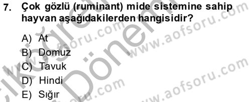 Hayvan Besleme Dersi 2013 - 2014 Yılı (Vize) Ara Sınav Soruları 7. Soru